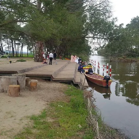 Andrea Bashuri Otel *