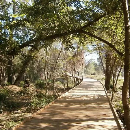 Andrea Bashuri Divjake