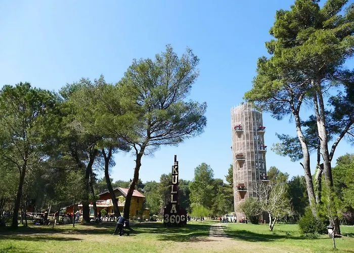 Andrea Bashuri * Divjake