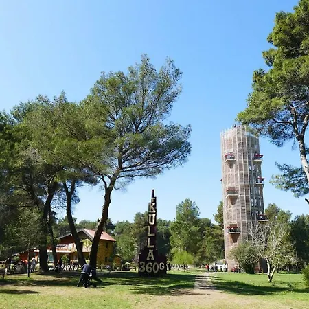 Andrea Bashuri * ديفيجاكه